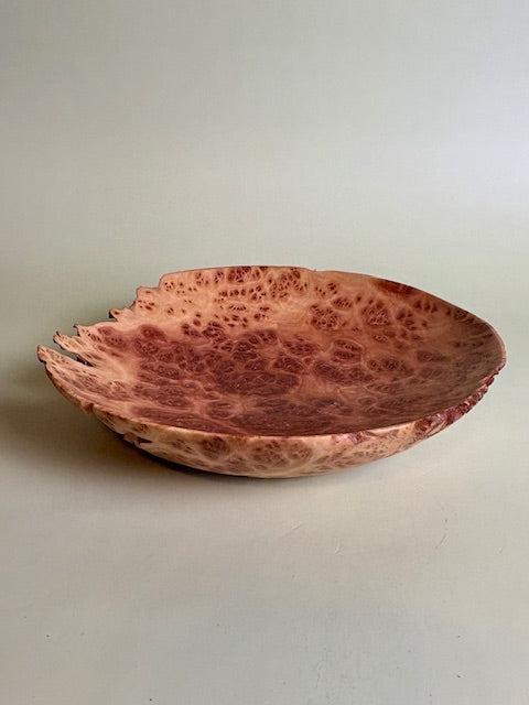 Red Malle Burl Bowl 8" x 1.5"