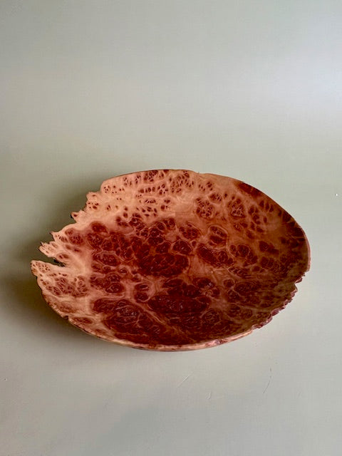 Red Malle Burl Bowl 8" x 1.5"