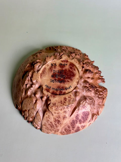 Red Malle Burl Bowl 8" x 1.5"